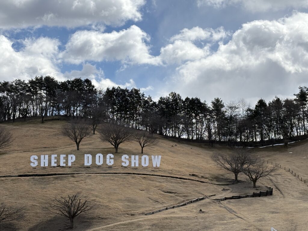 赤ちゃん・子連れ伊香保グリーン牧場　シープドッグショー