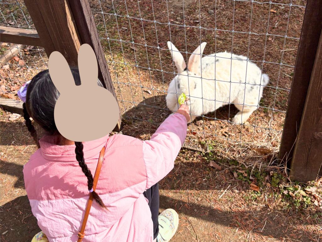 赤ちゃん・子連れ伊香保グリーン牧場　長女がうさぎにエサをあげているところ