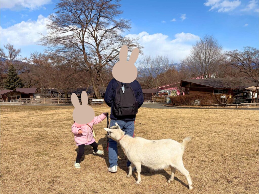赤ちゃん・子連れ伊香保グリーン牧場　ヤギとお散歩