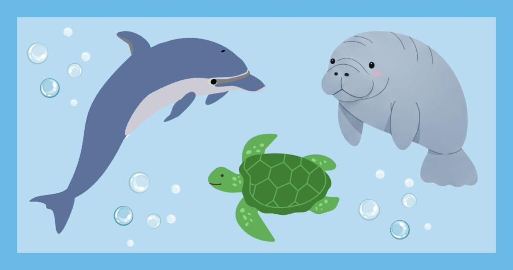 子連れ沖縄旅行 雨の美ら海水族館
